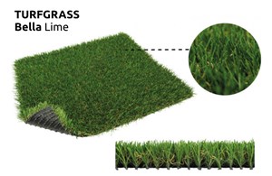 Turfgras Bella  Rasen / Gras
